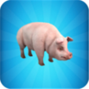 一头猪模拟器