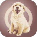 人狗交流器app手机版