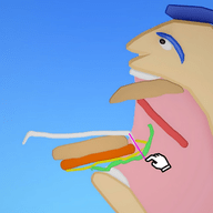 不要吃兔兔游戏