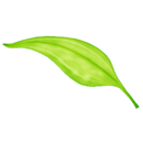 神级隐藏神器(zuper)