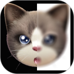 趣拍玩图app安卓版