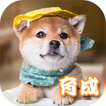 元气小狗官方版