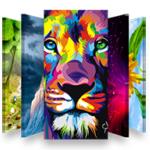 百万高清壁纸最新