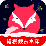 飞狐视频下载器2019版