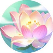 旅行的相册游戏