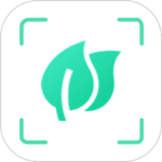 动植物识别大全