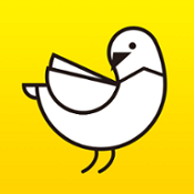 野鸽子绘本app