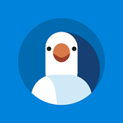 白鸽保险手机版