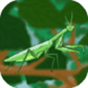 螳螂猎手内购版