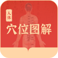 人体穴位图解