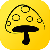 蘑菇丁(院校实习)