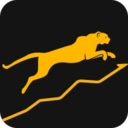 荒野财经官方安卓版