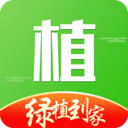 绿植到家