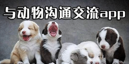 动物翻译软件大全