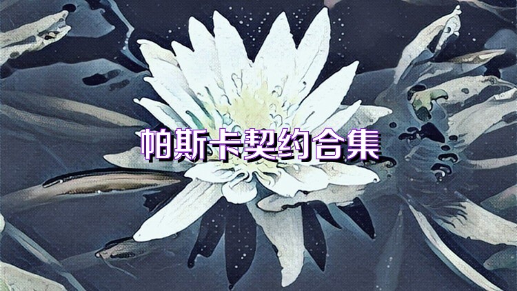 帕斯卡契约手游合集