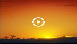 录视频美颜的软件大全