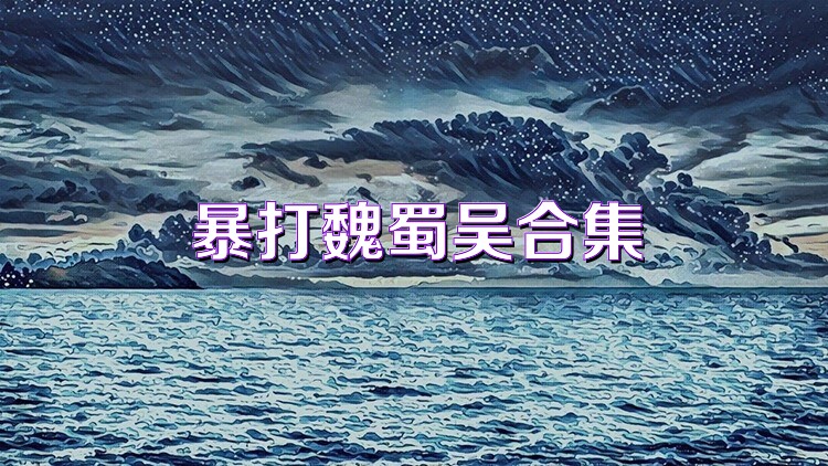 魏蜀吴悍将合集