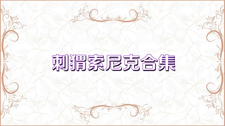 索尼克安卓游戏大全