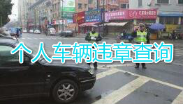 车辆违章查询软件排行