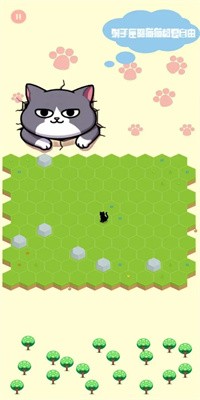 抓小猫小游戏小程序截图3