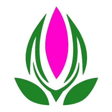 财蜂发财树安卓版