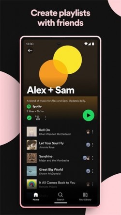 spotify apk最新版本截图3