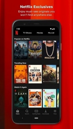 netflix官方安卓app截图3