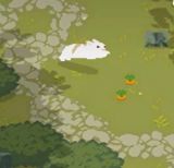 兔子森林最新版