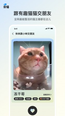 街猫app最新版本截图2