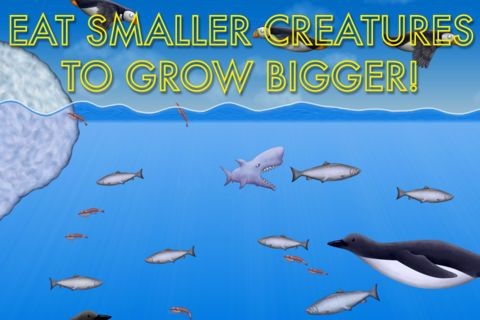 海洋星球4汉化版截图1