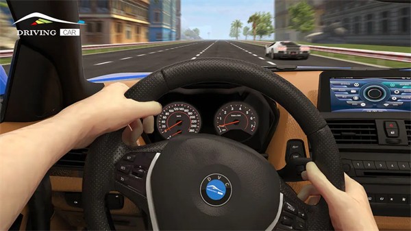 超车小能手无限金币版截图2