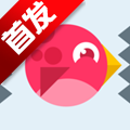 疯狂跳跳鸟游戏安卓版