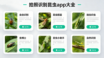 拍照识别昆虫app大全