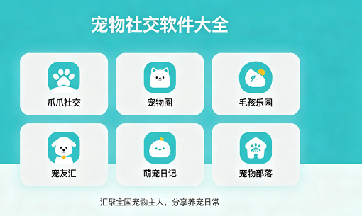 宠物社交软件大全