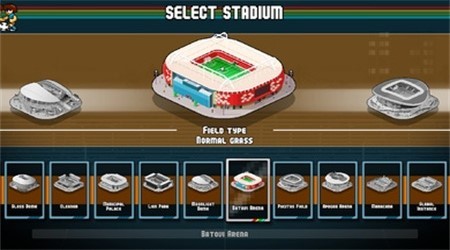 像素世界杯足球赛终极版截图7